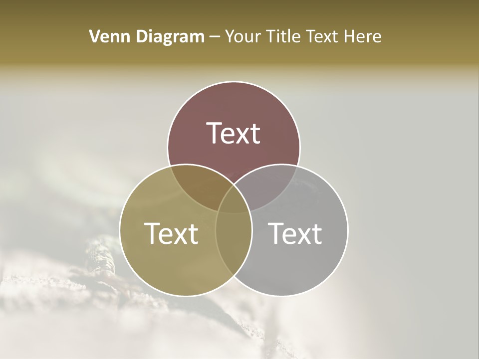 Animal Little Conceal PowerPoint Template