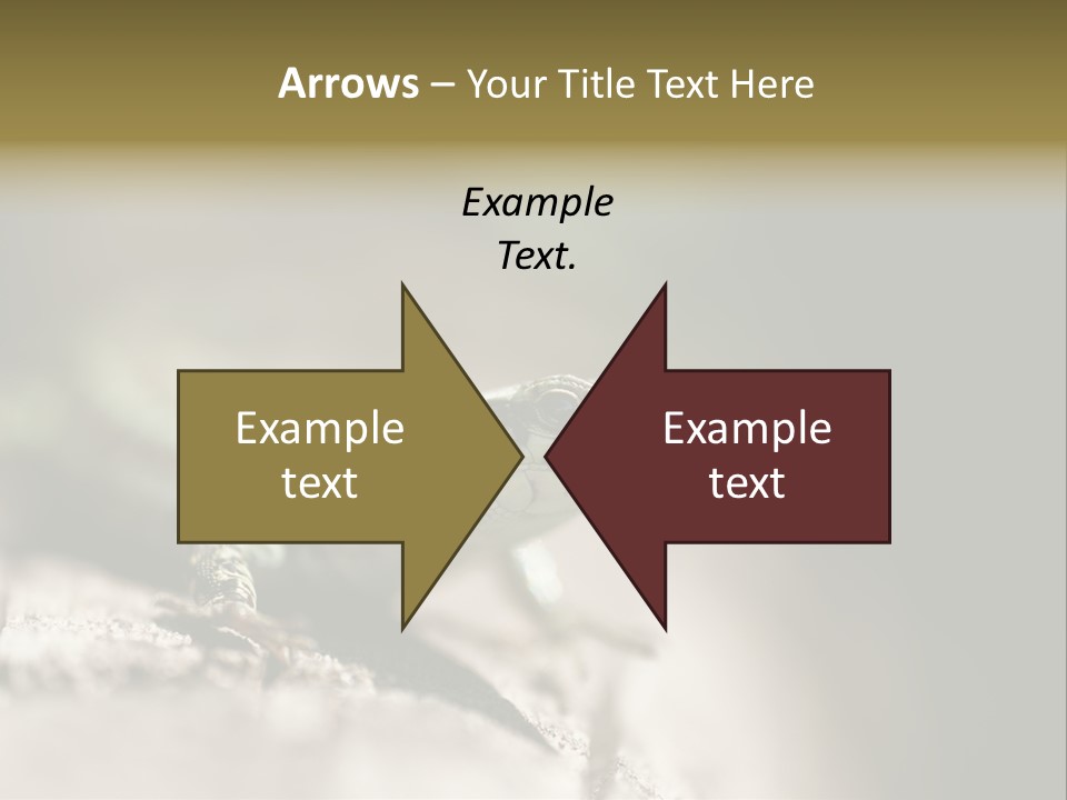 Animal Little Conceal PowerPoint Template