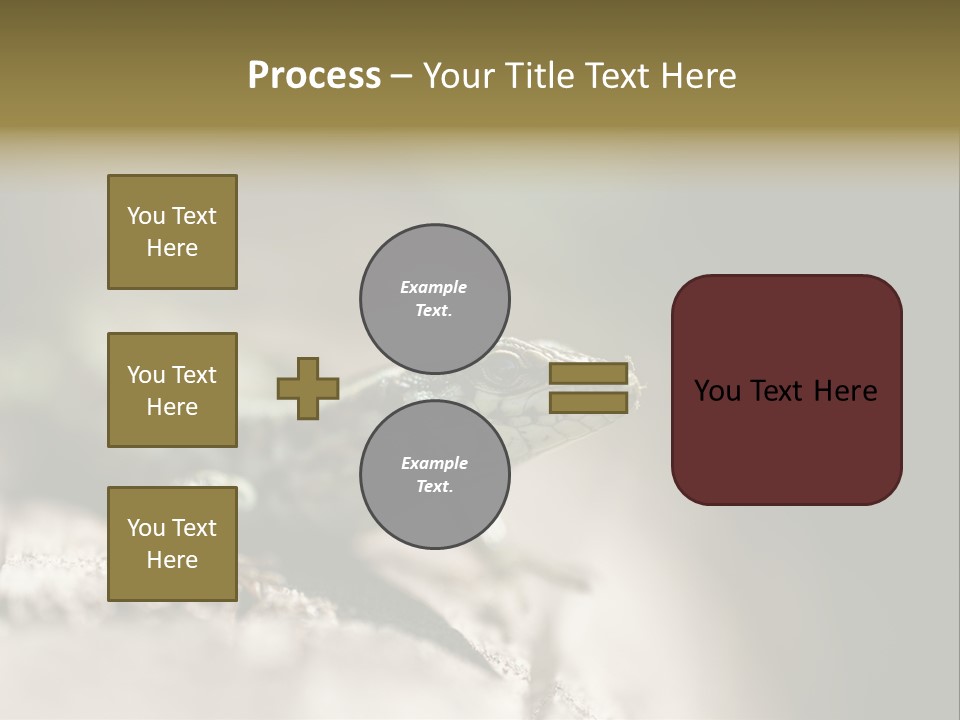 Animal Little Conceal PowerPoint Template