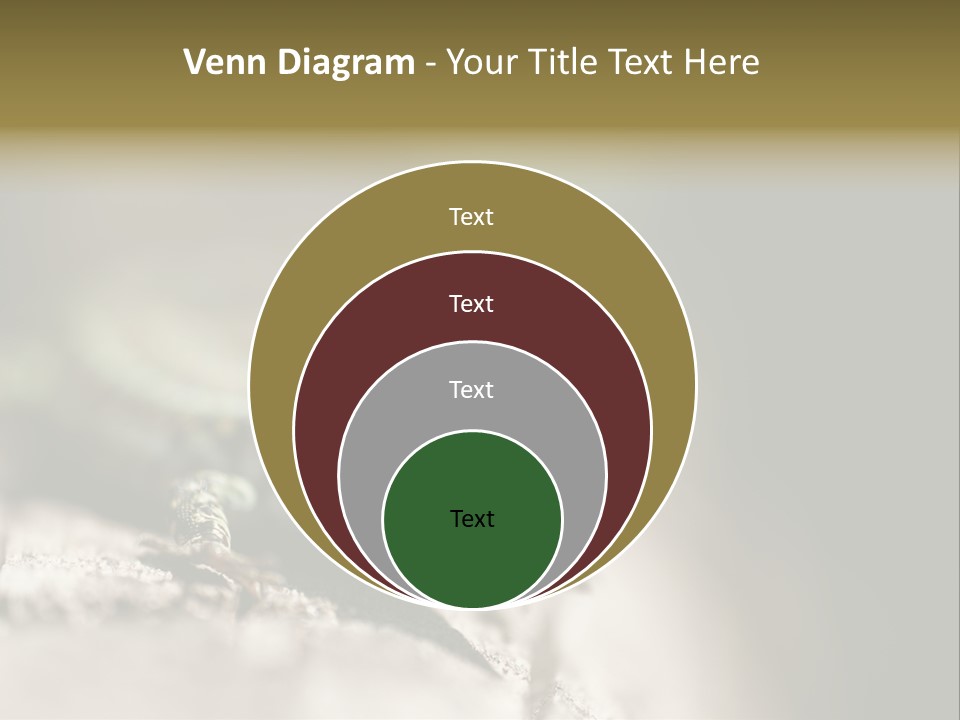 Animal Little Conceal PowerPoint Template