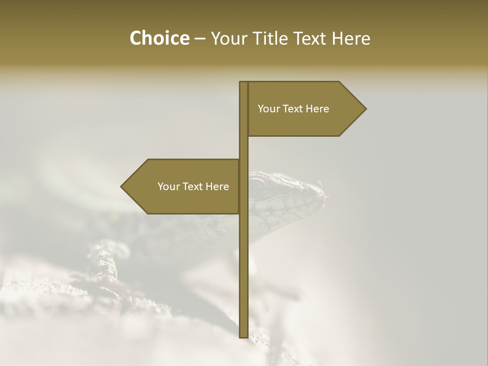 Animal Little Conceal PowerPoint Template