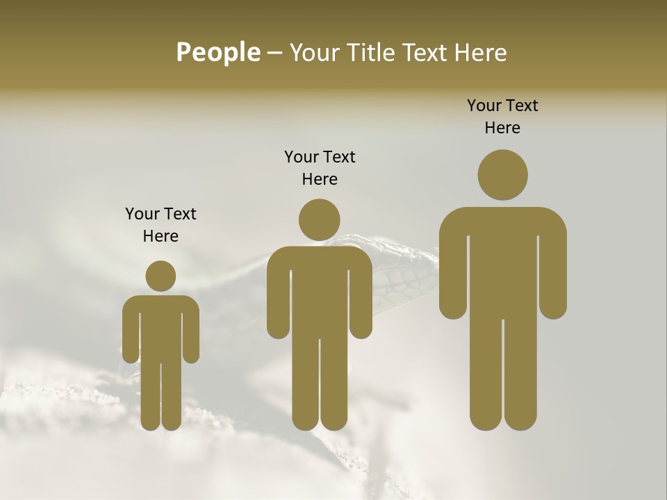 Animal Little Conceal PowerPoint Template