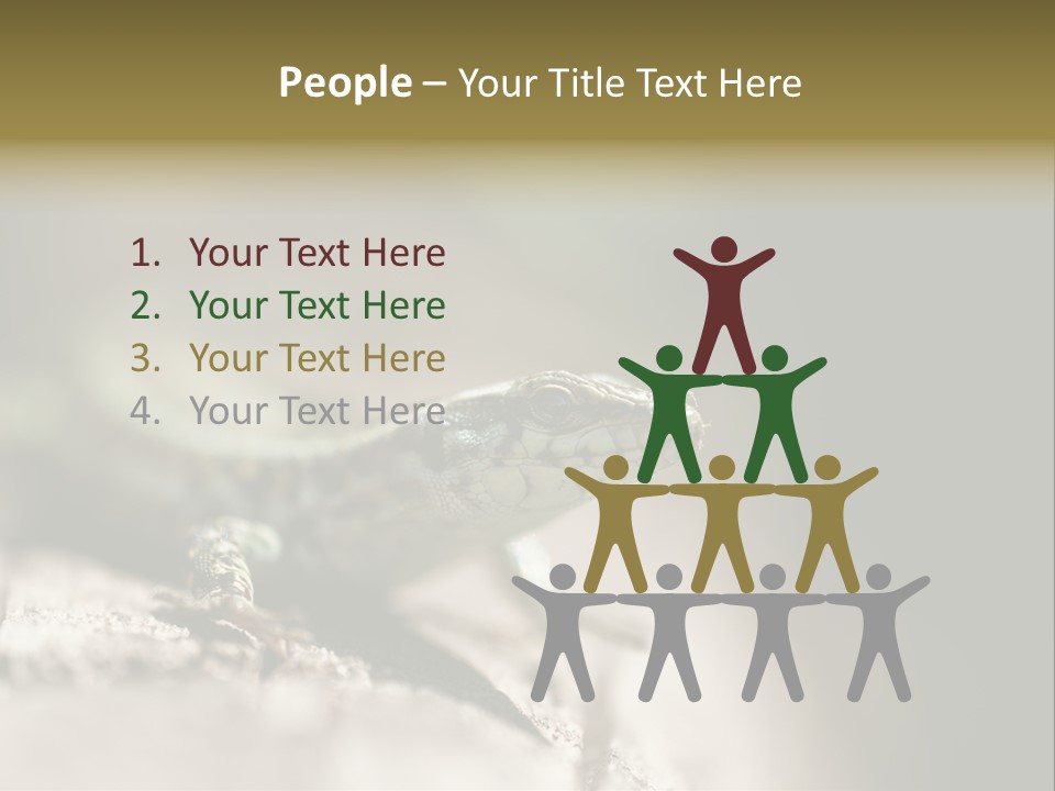 Animal Little Conceal PowerPoint Template