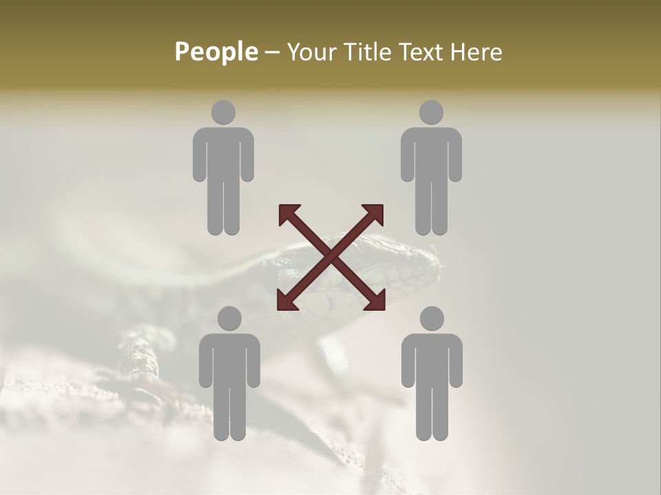 Animal Little Conceal PowerPoint Template