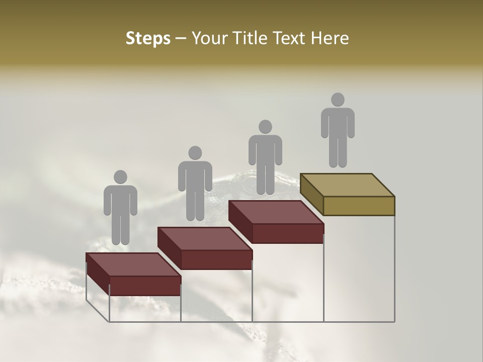 Animal Little Conceal PowerPoint Template