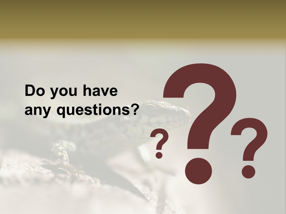 Animal Little Conceal PowerPoint Template