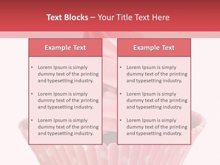 Eating Iced Delicious PowerPoint Template