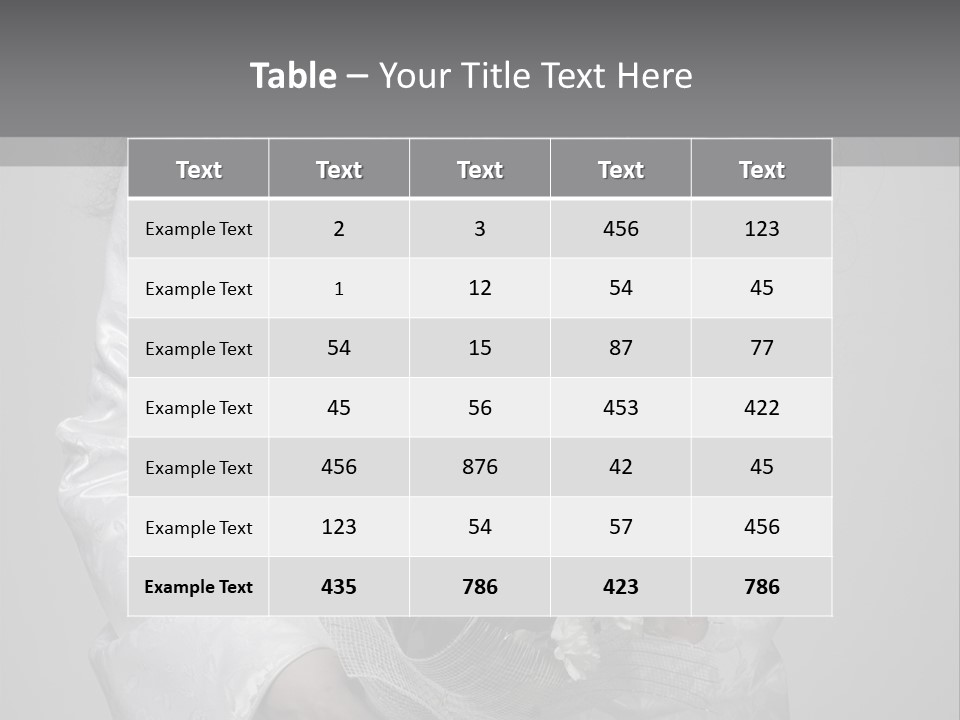 White Snow Washington PowerPoint Template