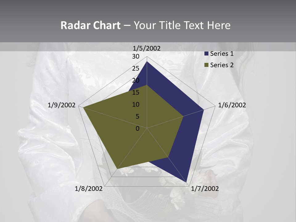 White Snow Washington PowerPoint Template