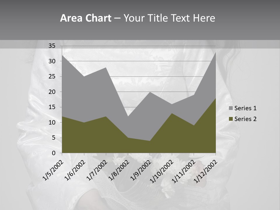 White Snow Washington PowerPoint Template