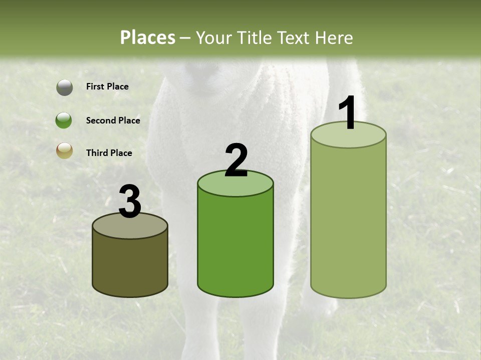 Agri Free Livestock PowerPoint Template
