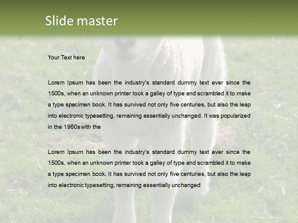 Agri Free Livestock PowerPoint Template