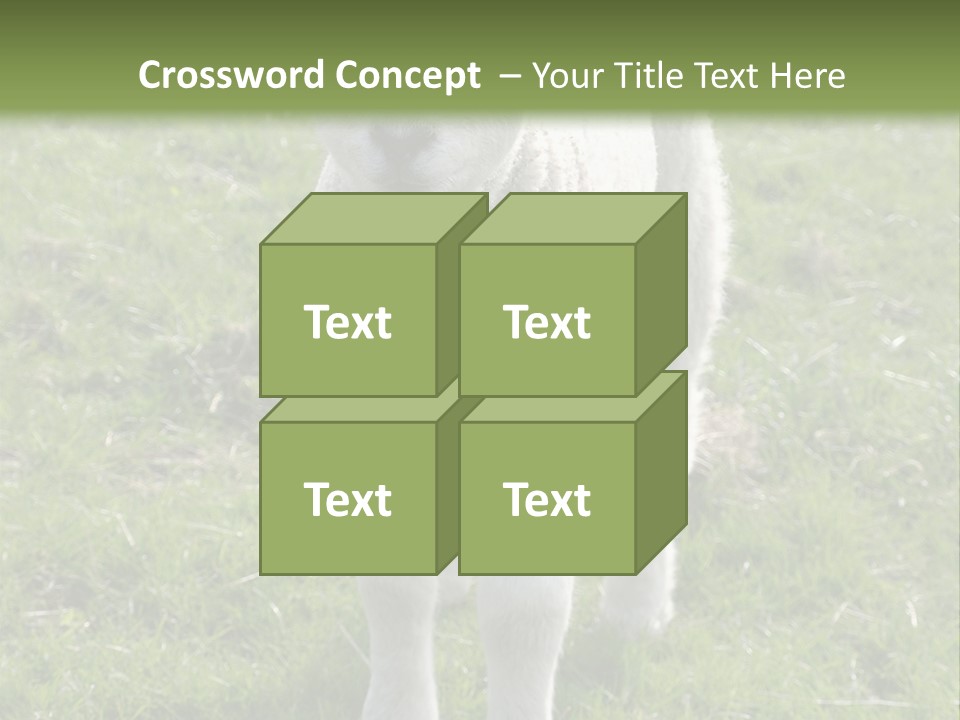Agri Free Livestock PowerPoint Template