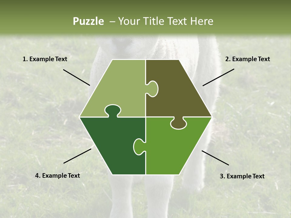 Agri Free Livestock PowerPoint Template