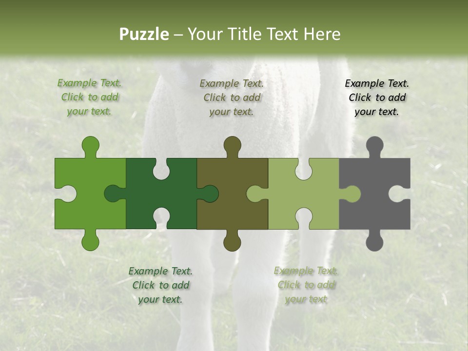 Agri Free Livestock PowerPoint Template