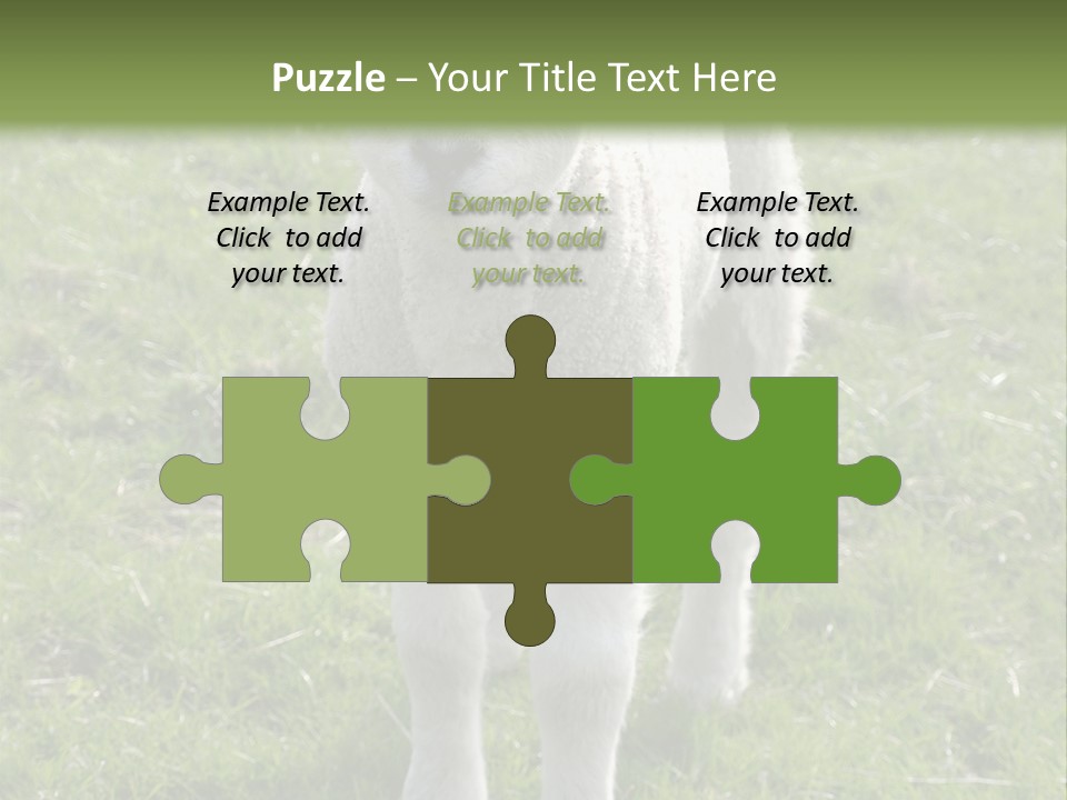 Agri Free Livestock PowerPoint Template