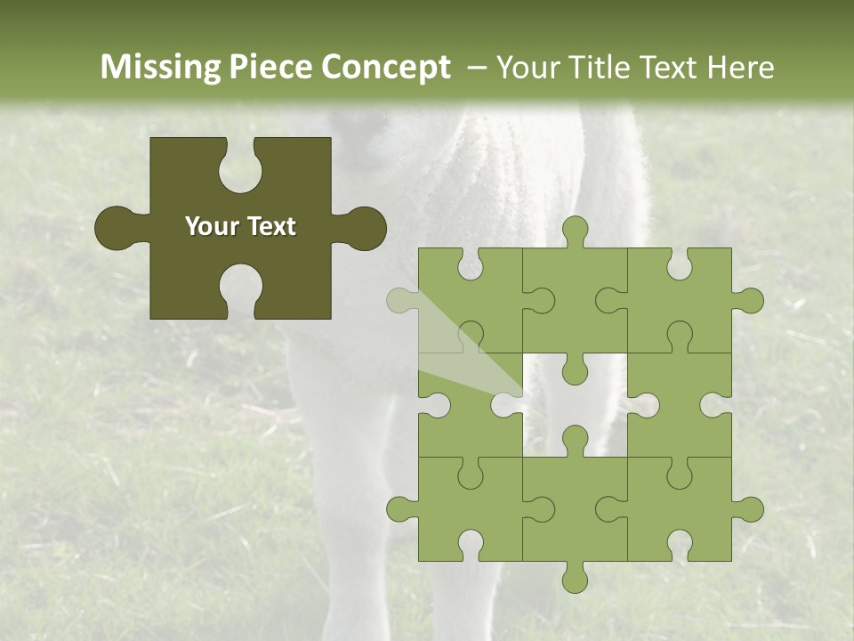 Agri Free Livestock PowerPoint Template