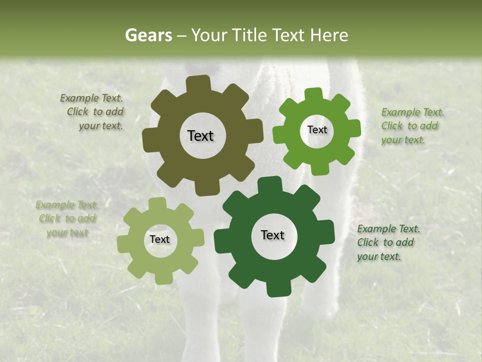 Agri Free Livestock PowerPoint Template