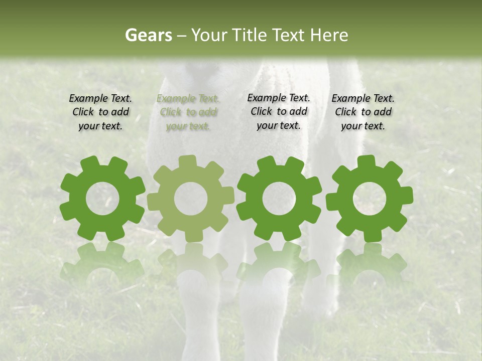 Agri Free Livestock PowerPoint Template