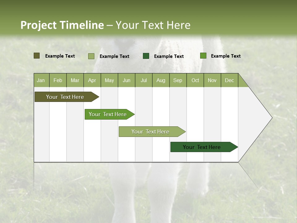 Agri Free Livestock PowerPoint Template