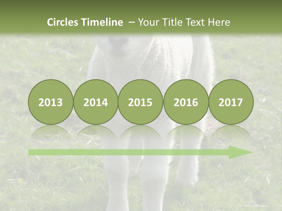 Agri Free Livestock PowerPoint Template