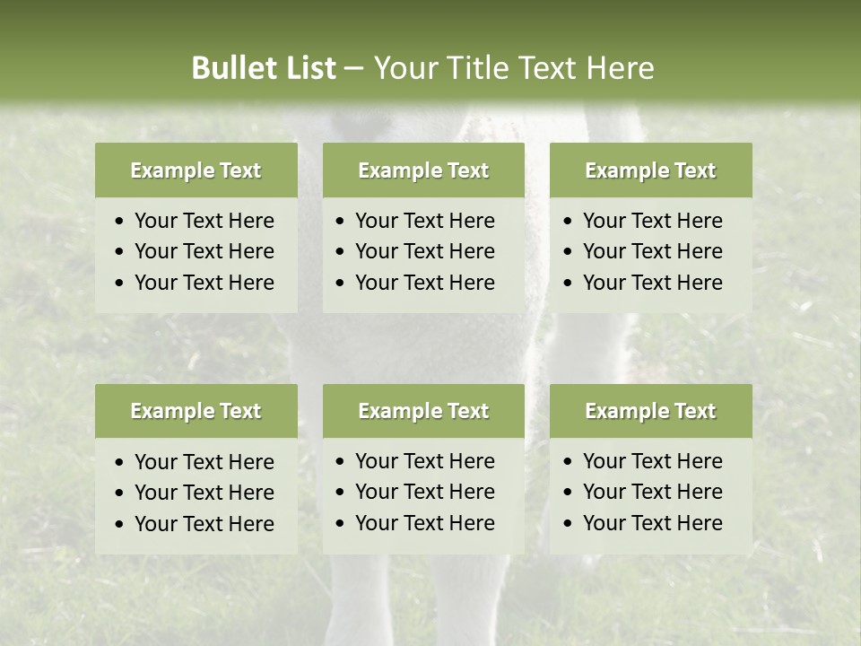 Agri Free Livestock PowerPoint Template