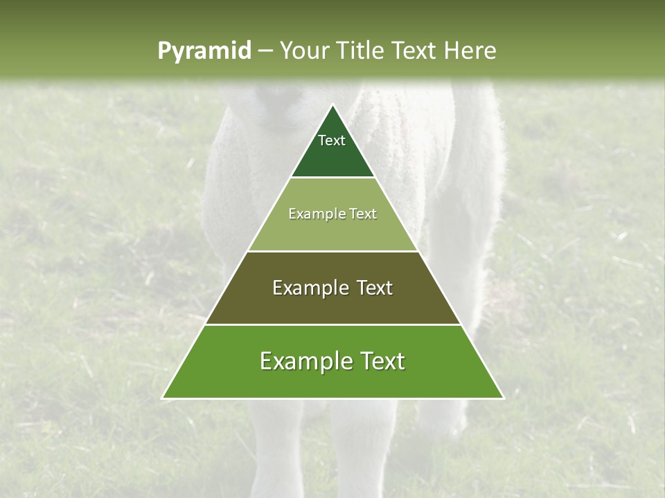 Agri Free Livestock PowerPoint Template