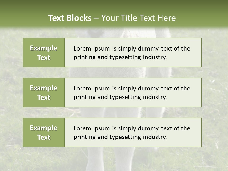 Agri Free Livestock PowerPoint Template
