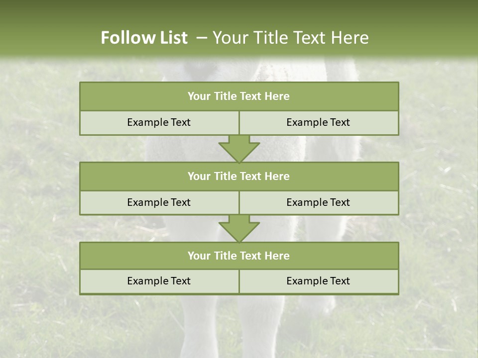 Agri Free Livestock PowerPoint Template