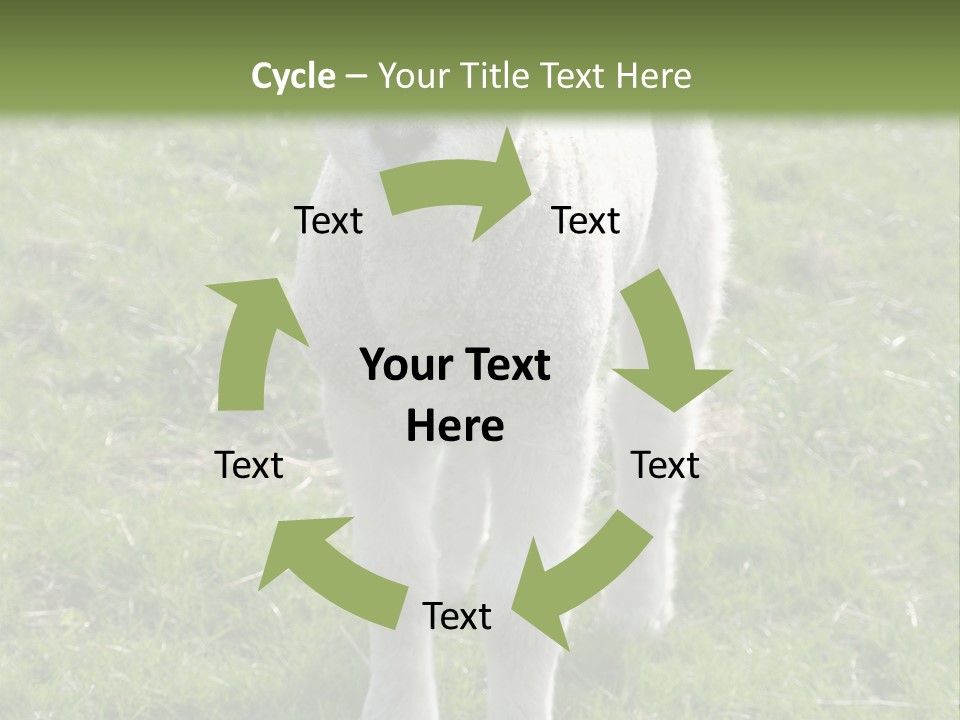 Agri Free Livestock PowerPoint Template