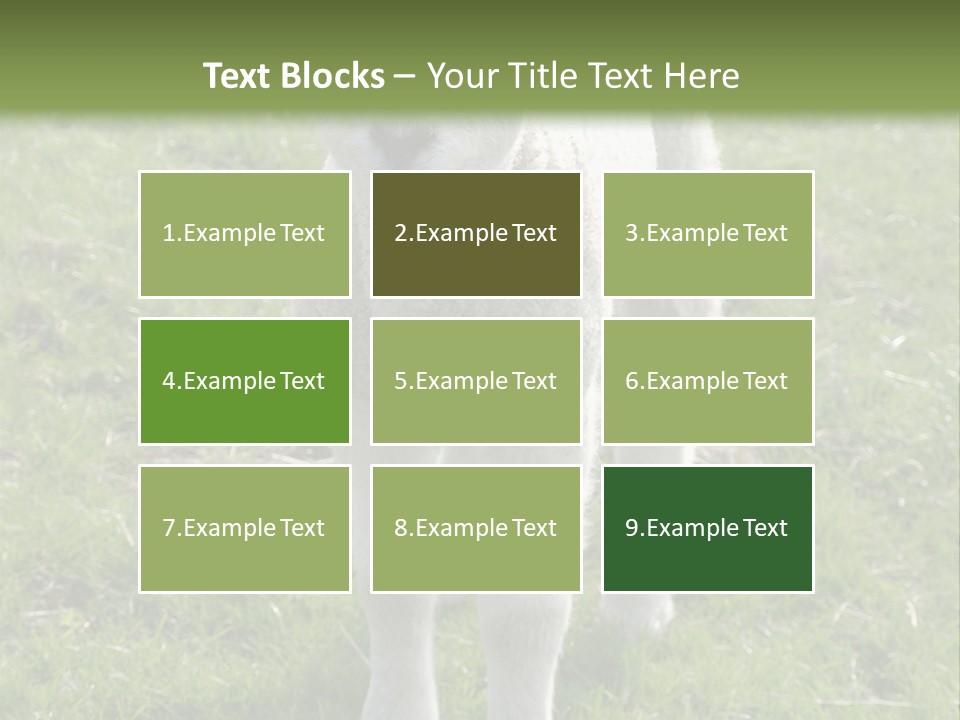 Agri Free Livestock PowerPoint Template
