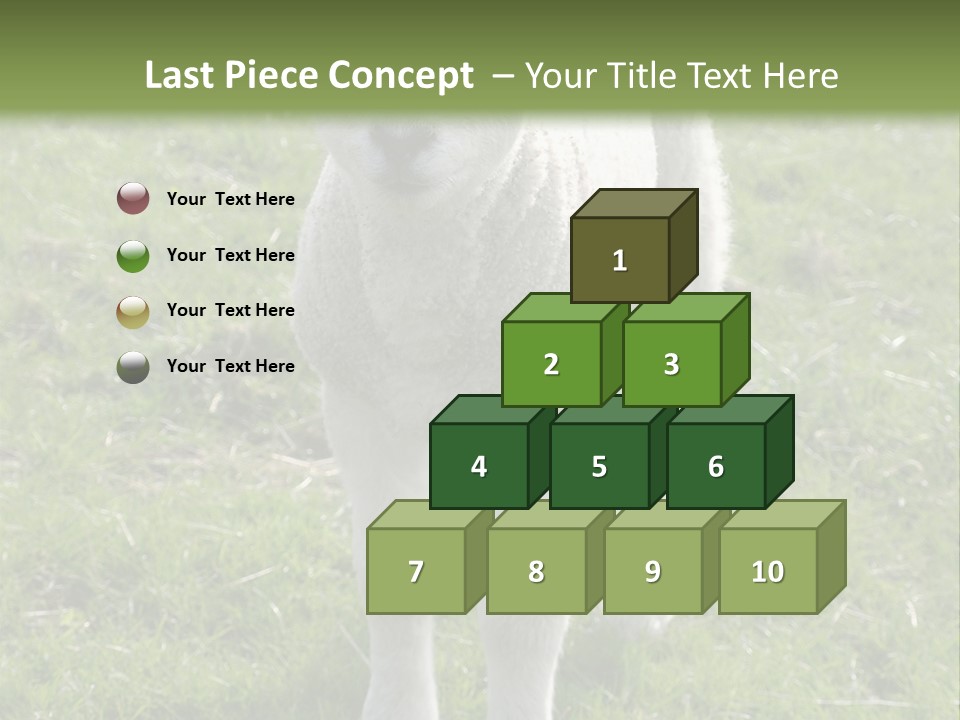 Agri Free Livestock PowerPoint Template