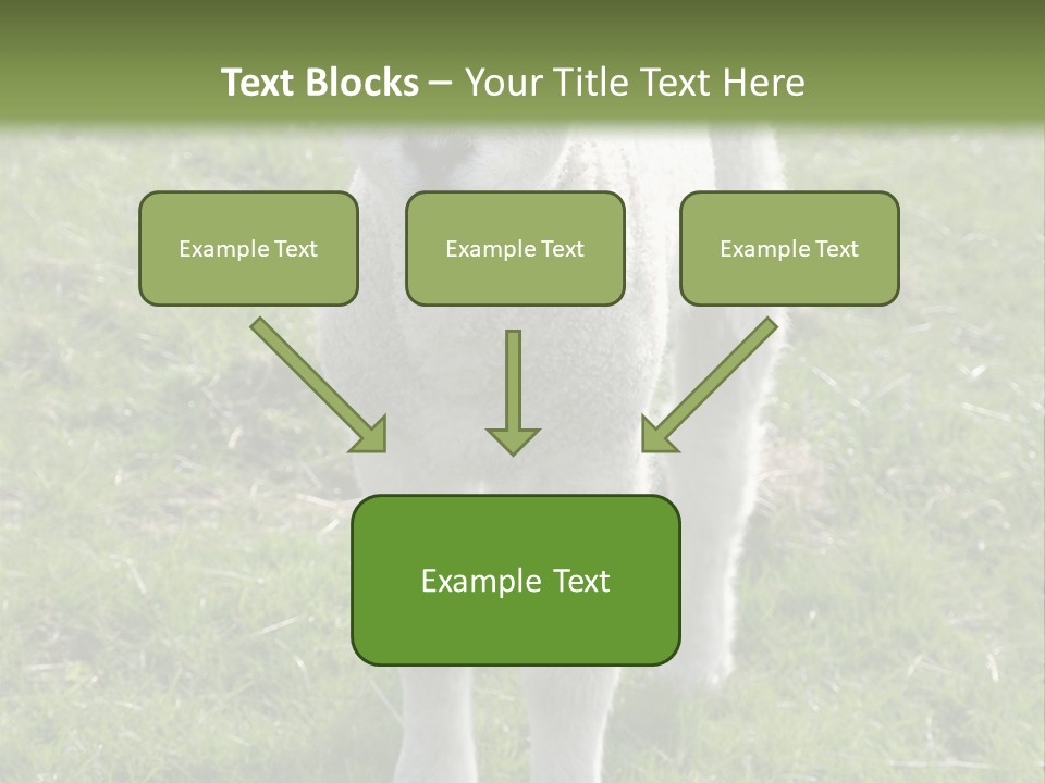 Agri Free Livestock PowerPoint Template