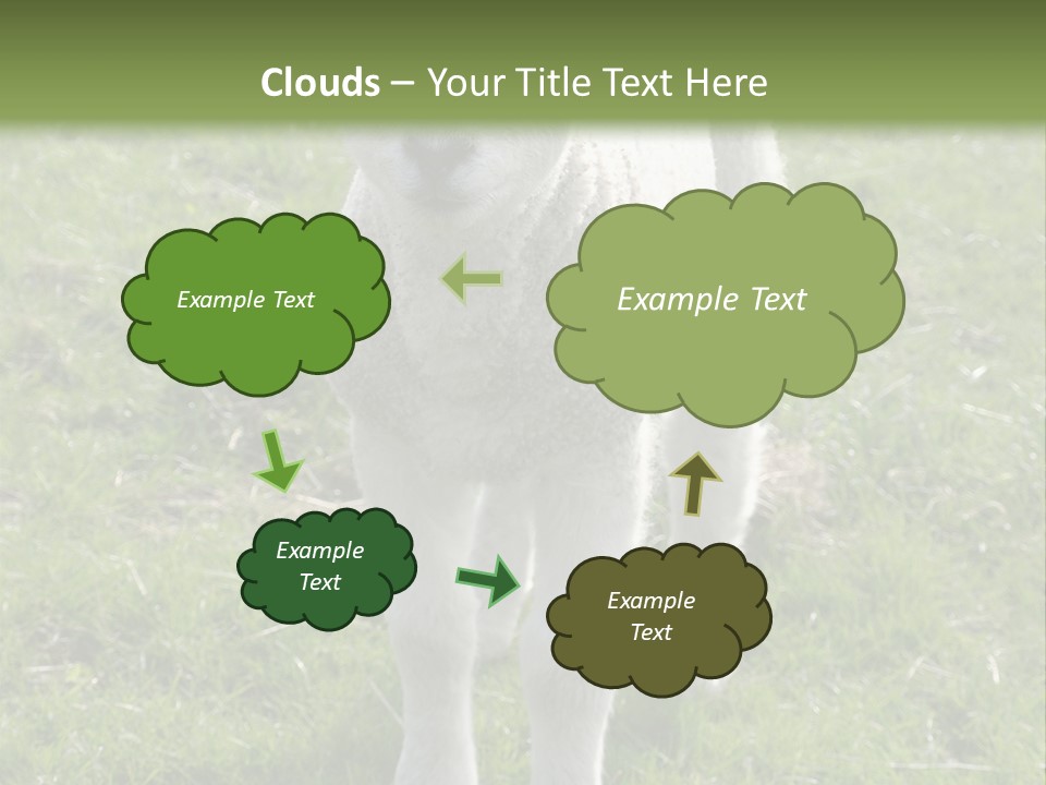 Agri Free Livestock PowerPoint Template