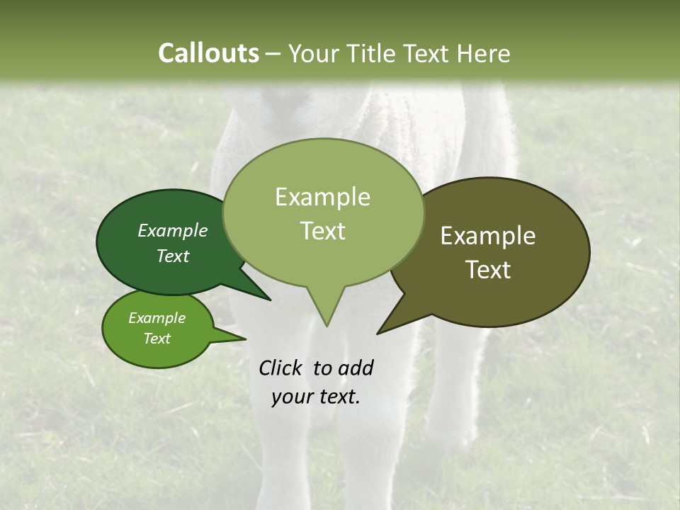 Agri Free Livestock PowerPoint Template
