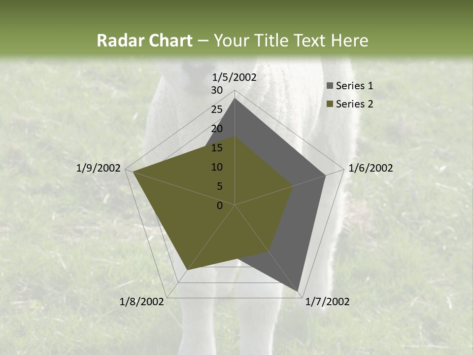 Agri Free Livestock PowerPoint Template