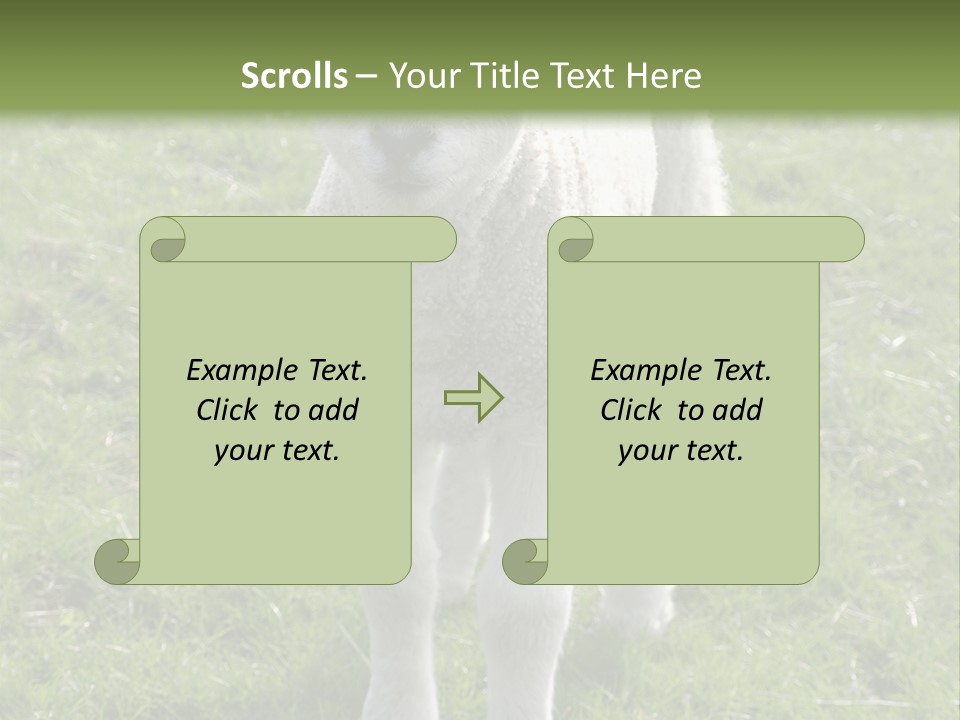 Agri Free Livestock PowerPoint Template