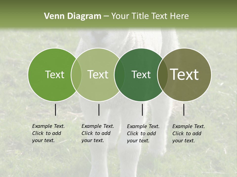 Agri Free Livestock PowerPoint Template