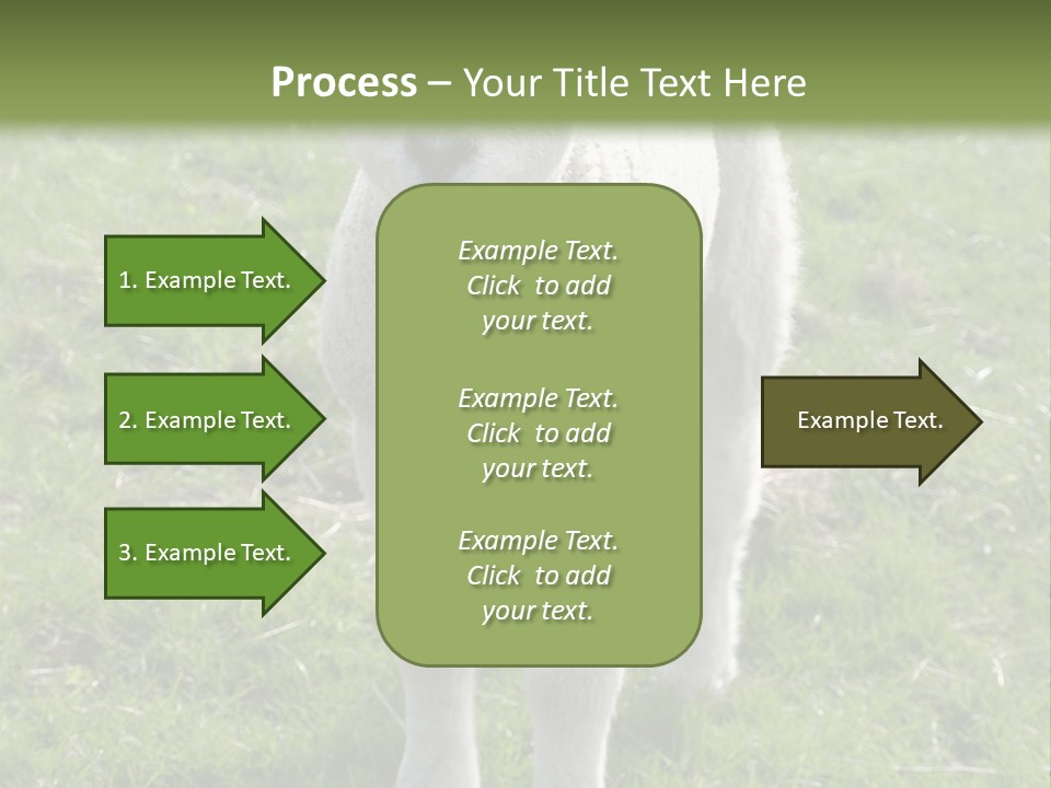 Agri Free Livestock PowerPoint Template