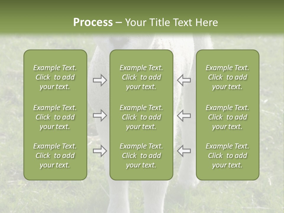 Agri Free Livestock PowerPoint Template