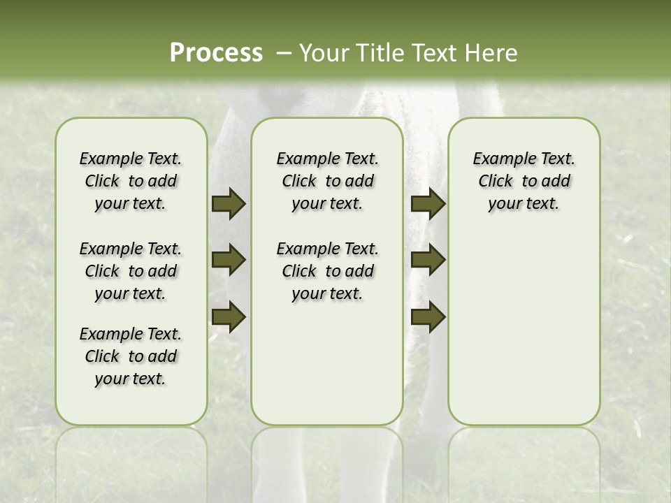 Agri Free Livestock PowerPoint Template