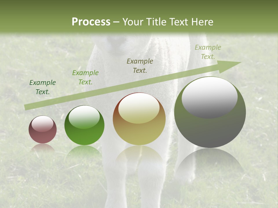 Agri Free Livestock PowerPoint Template