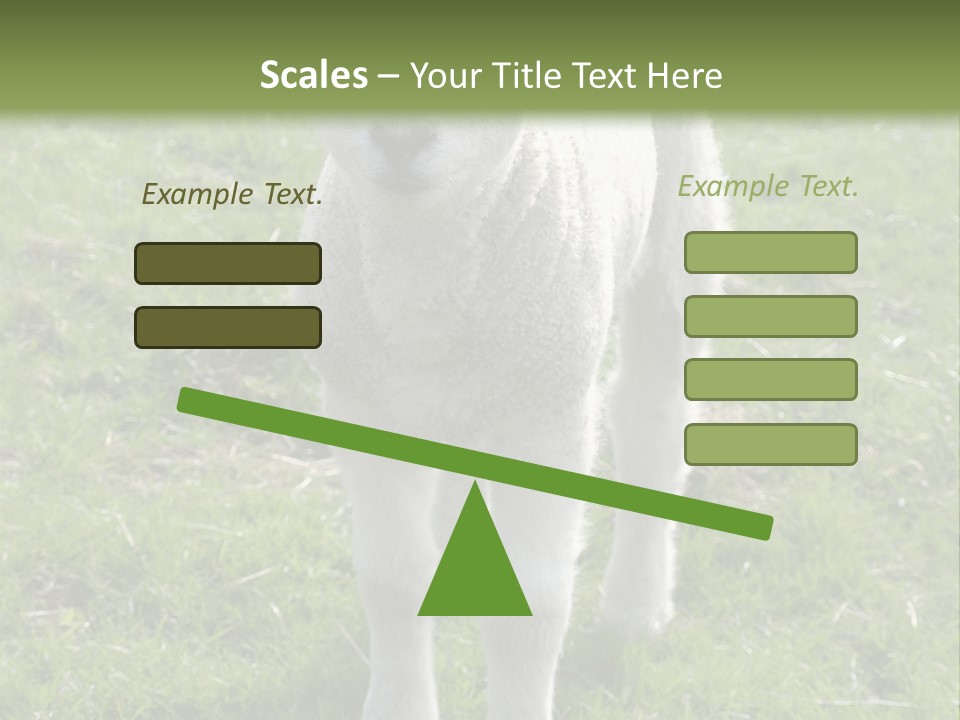 Agri Free Livestock PowerPoint Template