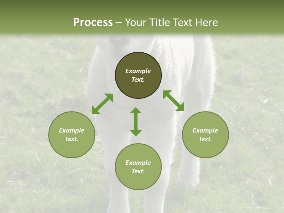Agri Free Livestock PowerPoint Template