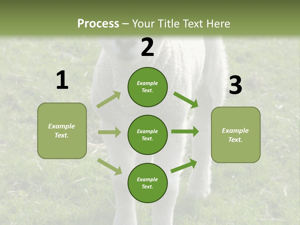 Agri Free Livestock PowerPoint Template