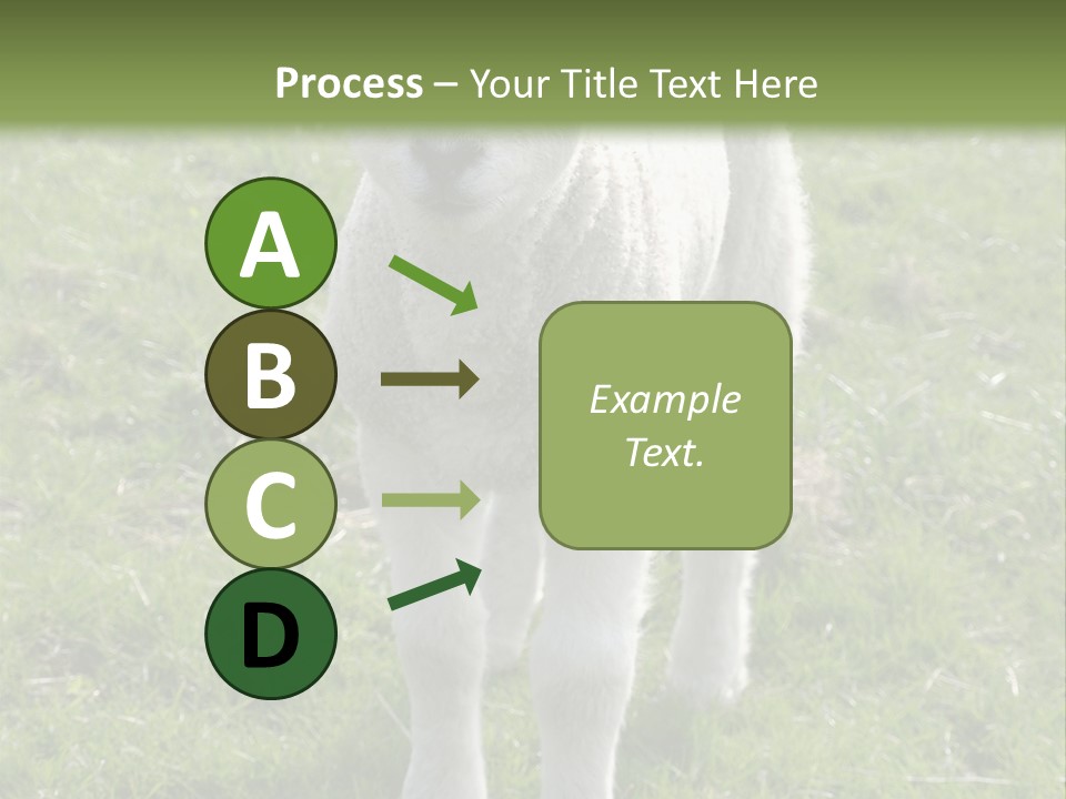 Agri Free Livestock PowerPoint Template