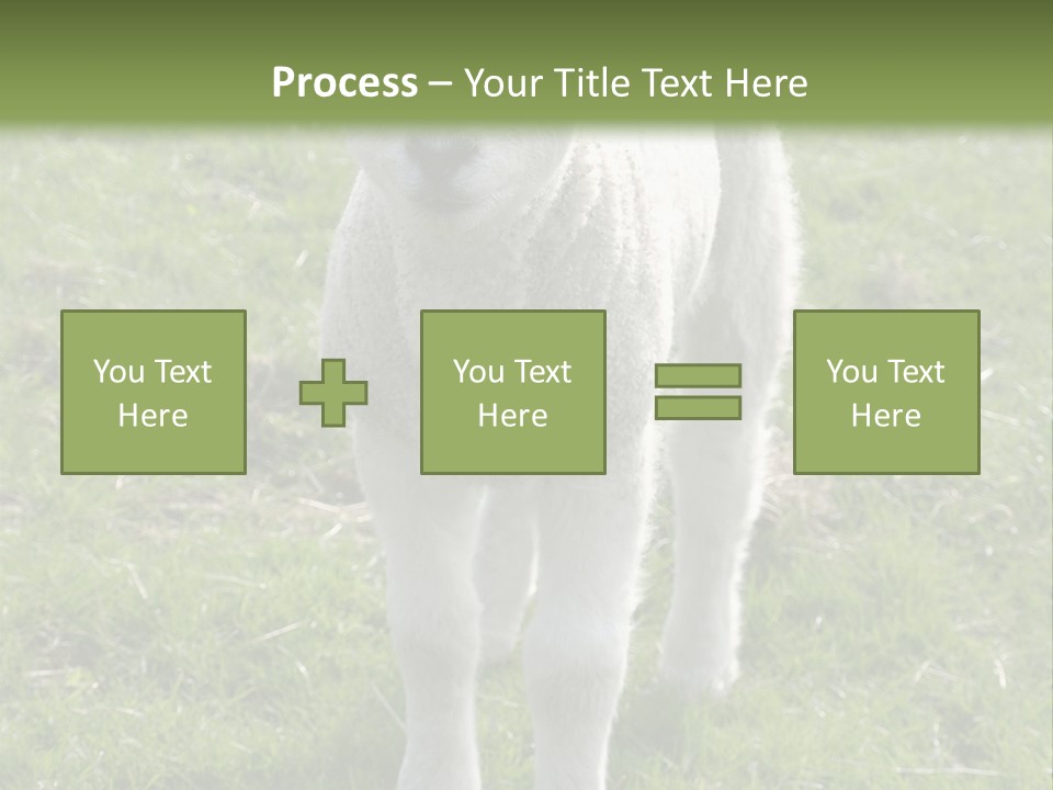 Agri Free Livestock PowerPoint Template
