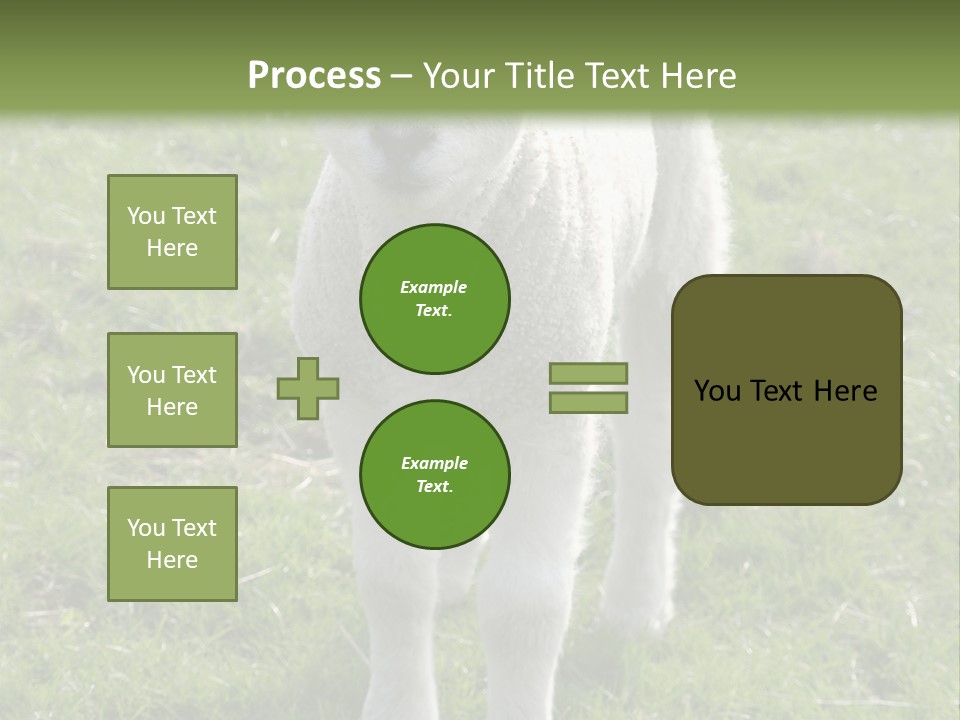 Agri Free Livestock PowerPoint Template