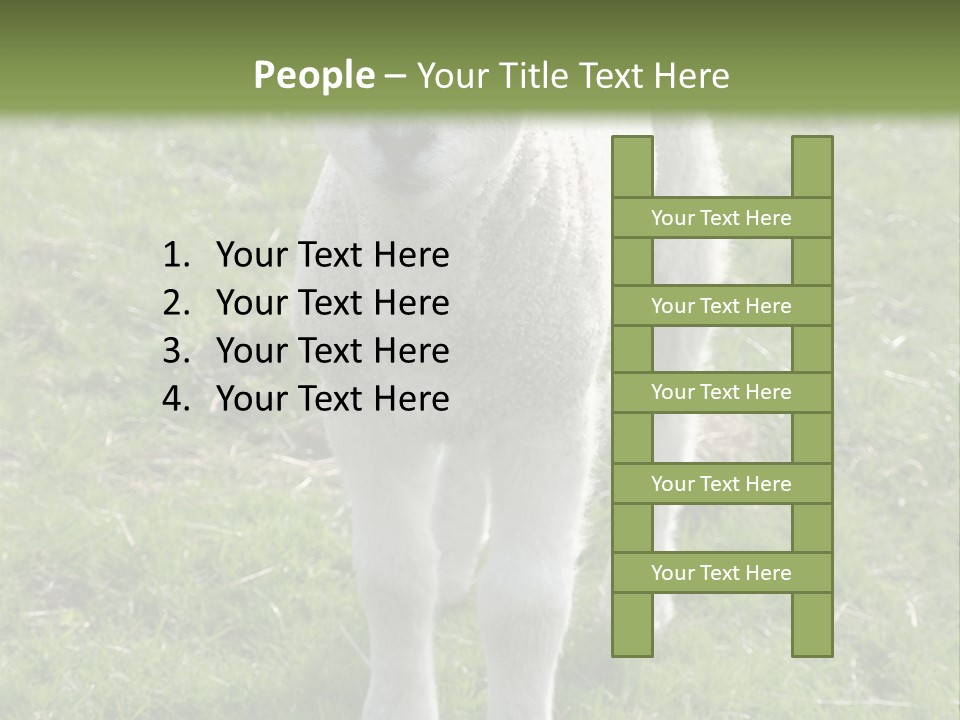 Agri Free Livestock PowerPoint Template
