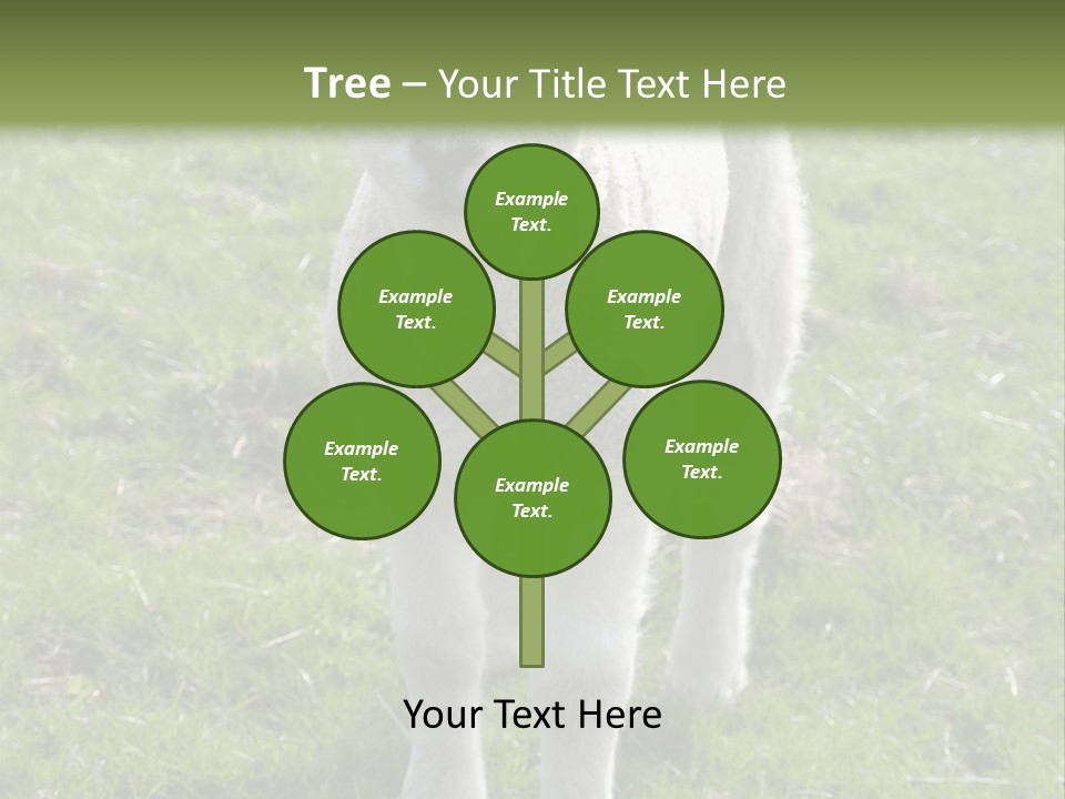 Agri Free Livestock PowerPoint Template